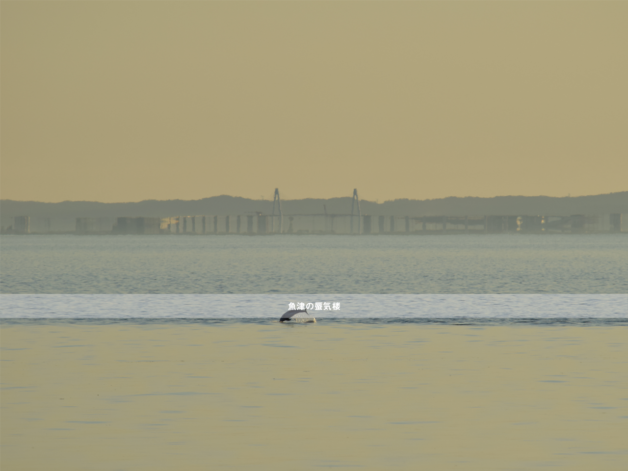魚津蜃気楼